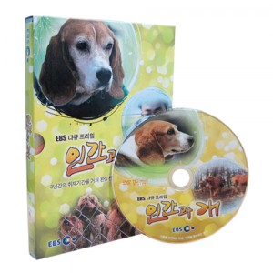 EBS 인간과 개 (할인판) [DVD 1편 SET]-칭찬나라큰나라