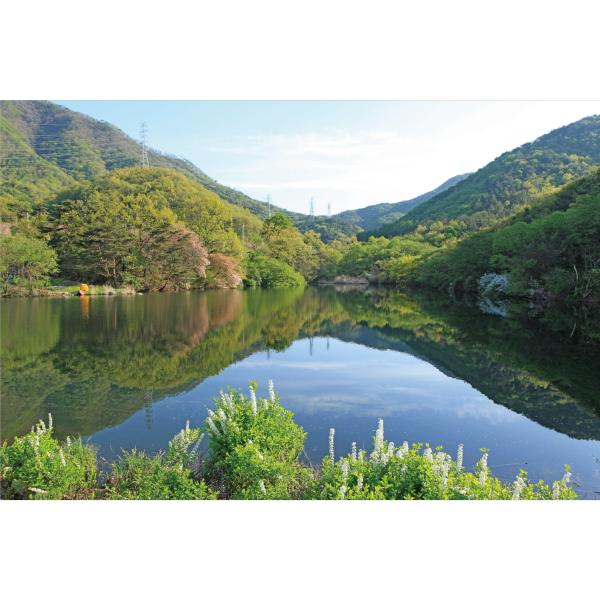 봄배경현수막 산속 호수 463-칭찬나라큰나라